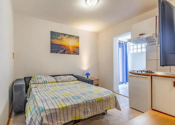 Pet Friendly In Apartament