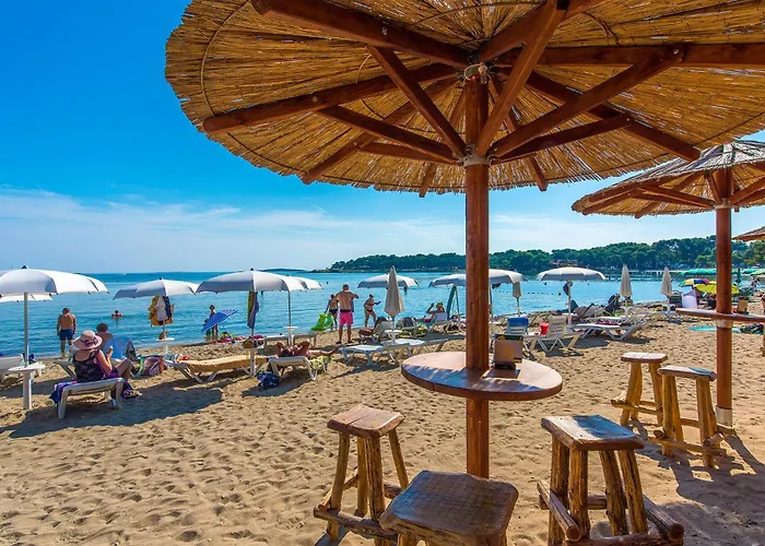 Apartament Pet Friendly In *