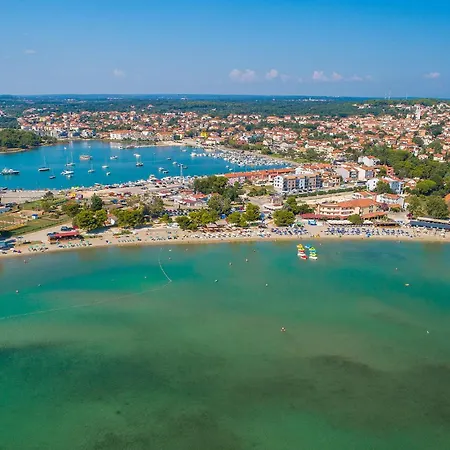 Pet Friendly In Appartement