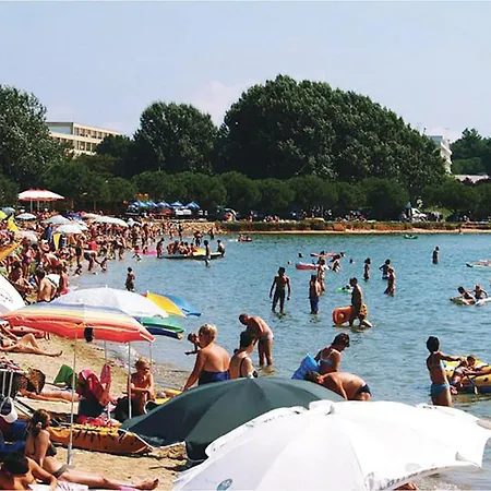 Pet Friendly In Appartement