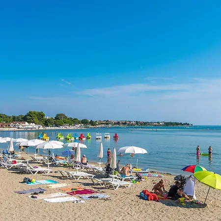 Pet Friendly In * Medulin