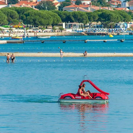 Pet Friendly In Medulin