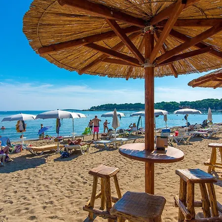 Appartement Pet Friendly In *